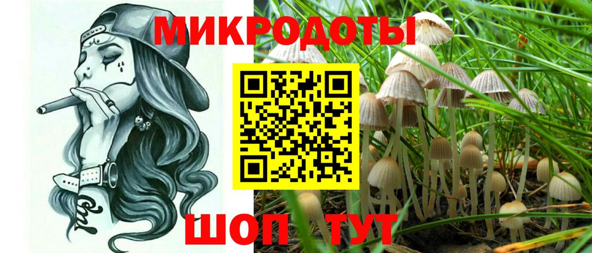 Псилоцибиновые грибы Psilocybine cubensis  Вход с VPN  цена наркотик  Галлюциногенные грибы мицелий  Астрахань 