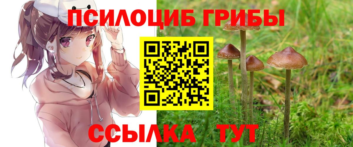 Псилоцибиновые грибы прущие грибы Астрахань